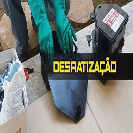 Dedetização no Bairro Pompéia BH